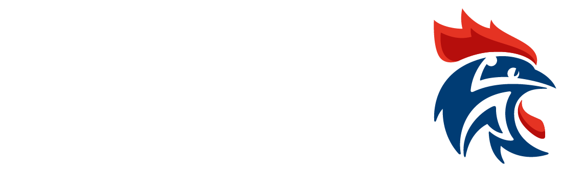 Logo comité Manche handball