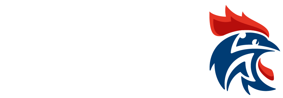Logo comité Seine-Maritime handball