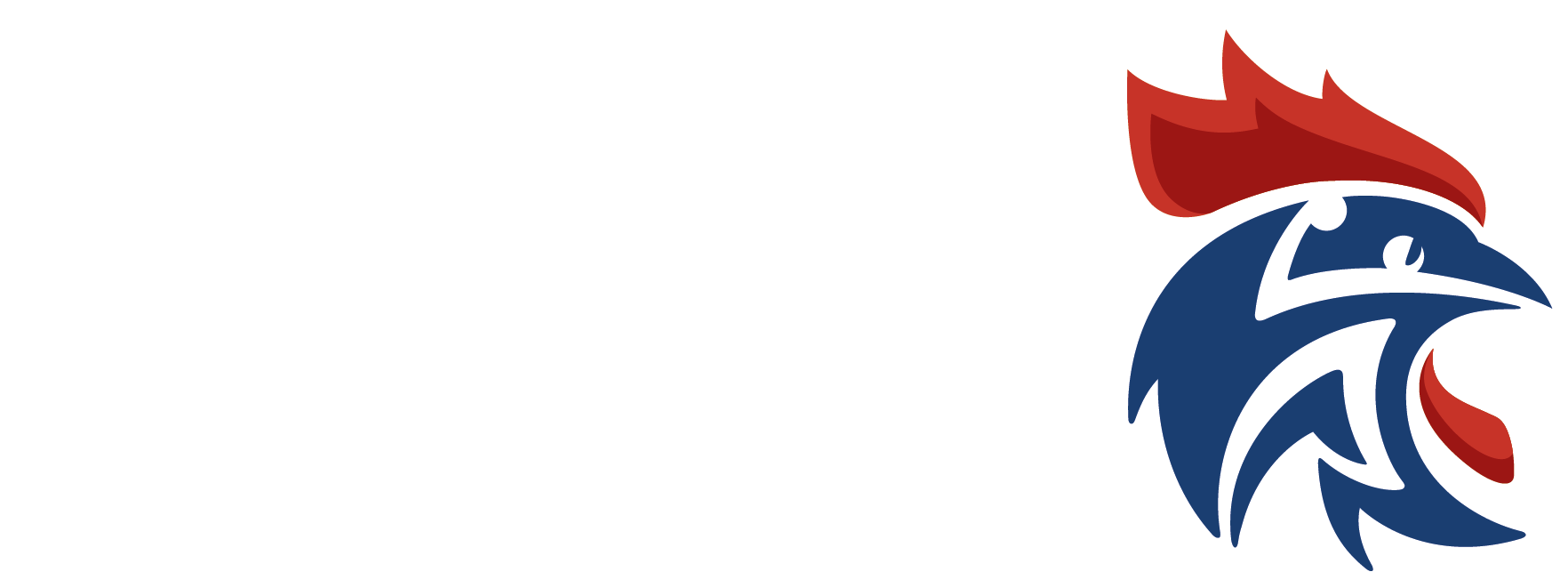 Logo Ligue de Normandie Handball